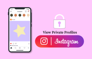 Uncovering Private Instagram Accounts in 2023